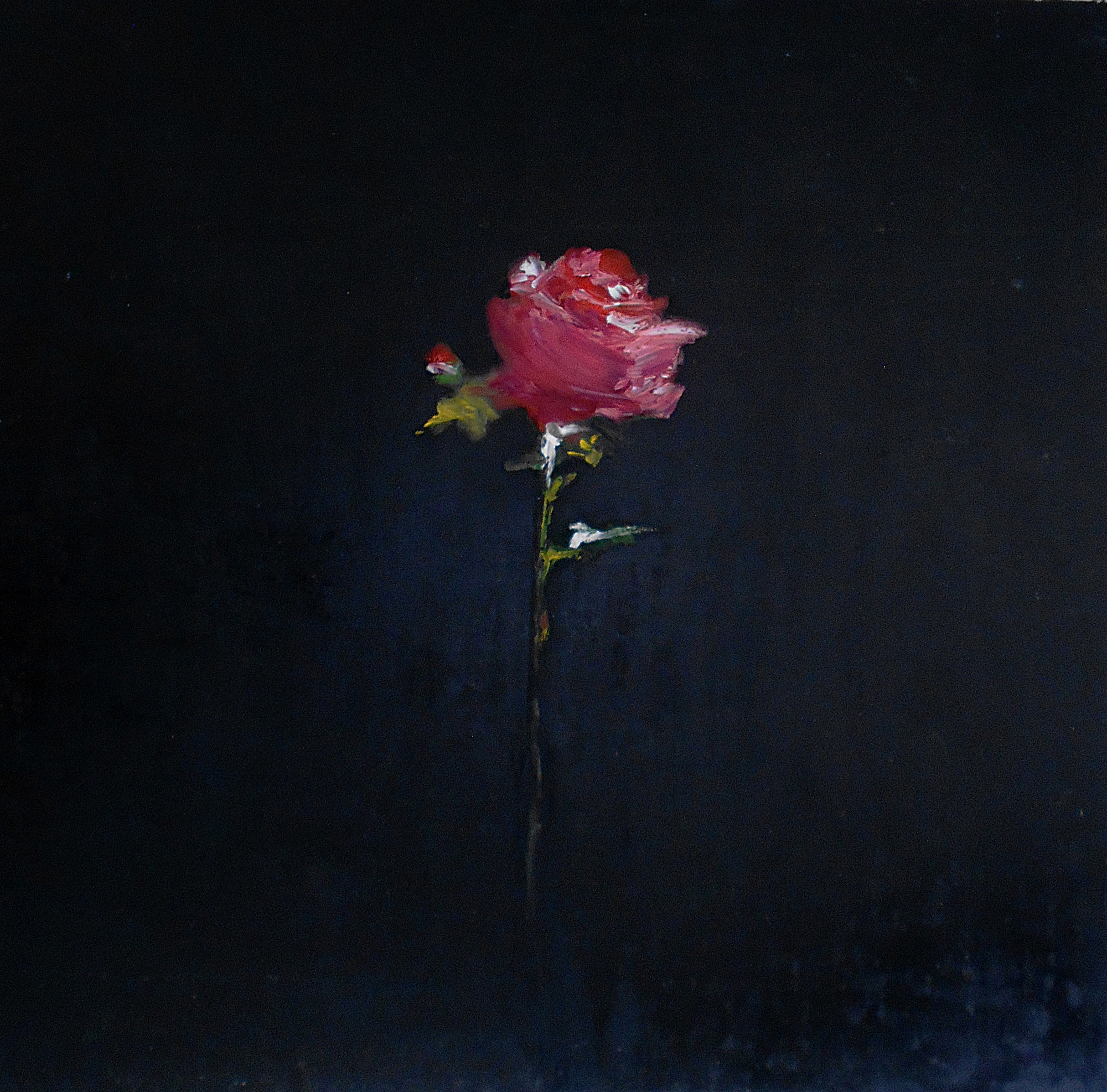 22.Rose, 70x70cm, oilcolour on paper, 2029