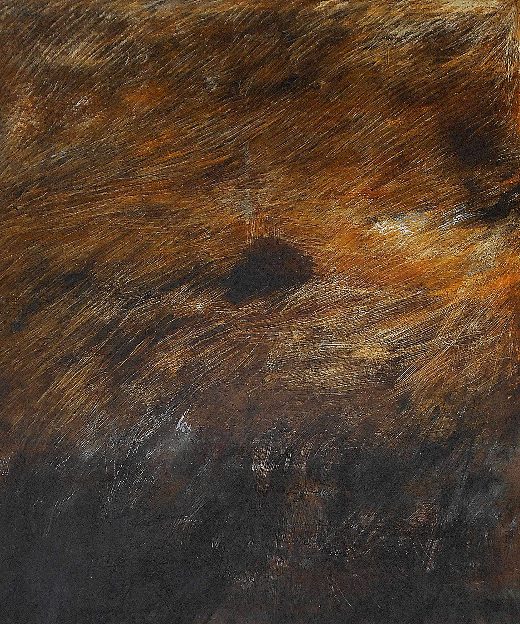 11.The tree, 100x120, oil colour on canvas, 2020