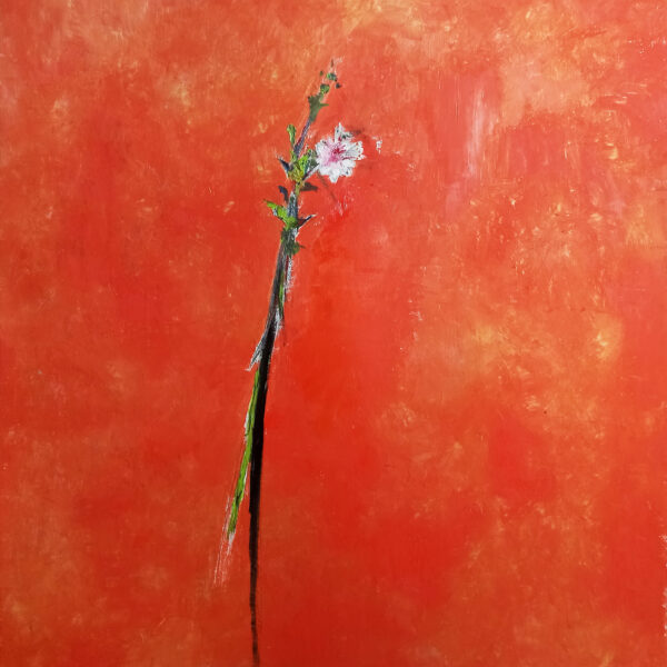 Spring time, 70x70, oil on cardboard, 2024